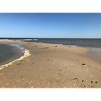 September high tide Gloucester image